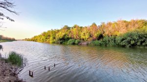 Музыка природы: гармония звуков вокруг нас