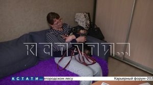 Принудительное выселение из квартиры по решению суда старой, полуслепой и полуглухой таксы