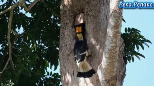 Река. Релакс.