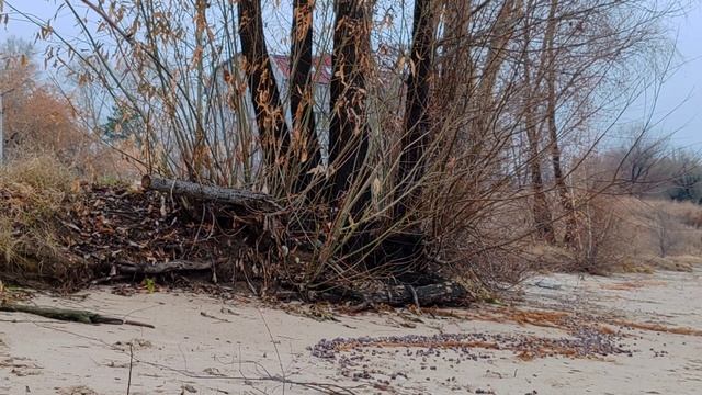 Завтра выпадет снег. Сибирь перед долгой зимой. Релакс видео антистресс природа под музыку