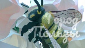 Город пользы