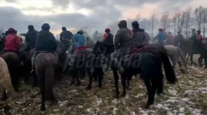 Мигрантские игры с тушами животных в Раменском округе не закончились