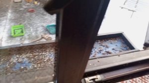 Весёлый понедельник в вольном диком зоопарке