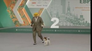 Наш учитель – наша гордость: неожиданные таланты Марины Викторовны из ОБРАЗОВАНИЕ ПЛЮС…I