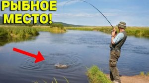 КЛЮЕТ ОДНА за ОДНОЙ, случайно СТАЛИ на РЫБНОЕ МЕСТО в КАМЫШАХ и Не ПОЖАЛЕЛИ!