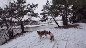 с. Заречье, владимирская область