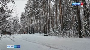 Вести-Томск, выпуск от 17.11.2025 11:30