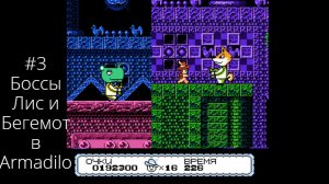 #3 Боссы Лис и Бегемот в Armadilo
