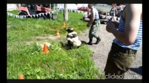 01416-Десантный берет_сдача нормативов_29.06.2024 г.