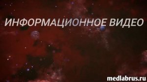 Стресс и иммунитет: как мозг через АНС и блуждающий нерв регулирует воспаление