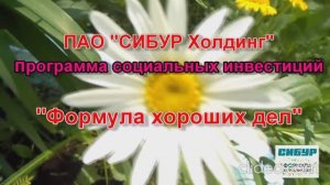 Флора  Сибири.