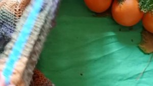 Отчет N6за ноябрь в СП"Вязальный переполох Осень 2025с Еленой Велиной" Палантин"Миссони"В.Волкова.