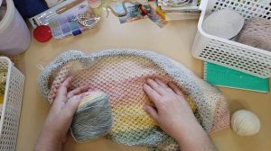 СП Шалемания 2025.Осень. 11 отчёт.