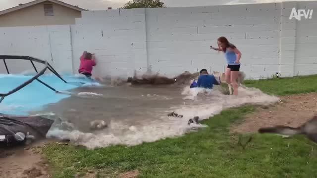 NEW! America′s Funniest Home Videos. MOST EXPENSIVE Fails of the Year 💸 Fails that Cost a Fortune