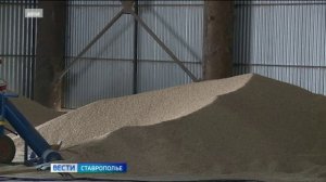 Вести. Ставропольский край» 17.11.2025 (9.30)