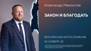 Александр Мамонтов: Закон и благодать / 16.11.2025