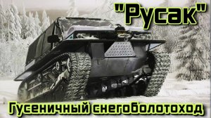 Что за зверь такой Русак Гусеничный Снегоболотоход