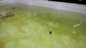 Демонстрация воблеров на Рыболовер 2025