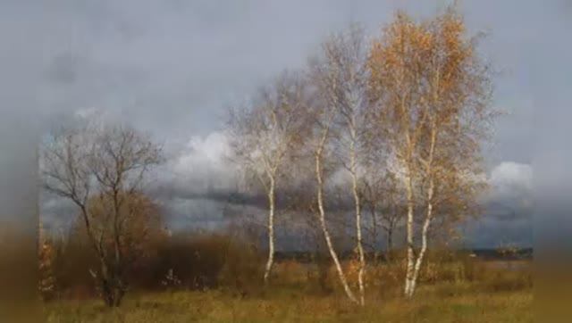 Валерий Гурков "Отгуляла осень" читает Любовь Б. смотреть онлайн