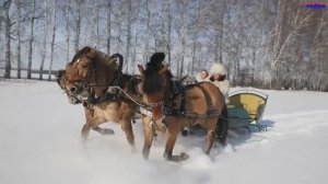 Любовь Костоглотова "Мы на тройке" (музыка Константина Дерр, стихи Виталия Батюка)