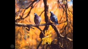 Доброе утро и прекрасного дня!!!