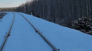 Тишина, снег и солнечный свет. 🔆