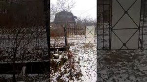 утро в деревне