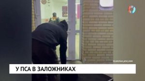 Новости от 17.11.2025