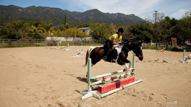 29 - Peak action смотреть онлайн