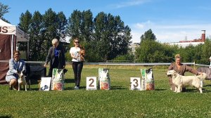 02.08.2025, СПб. Клуб "Классика-2" (РКФ, РФСС). Выставка собак всех пород "ЛЕТНИЙ МАРАФОН" (CAC, ЧФ)