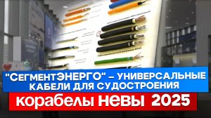 Стабильность как преимущество: Догматичность отрасли и перспективы судового кабеля