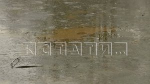 Жители кстовских деревень боятся отравления подземных вод из-за разлива нефтепродуктов с объекта ГЖД