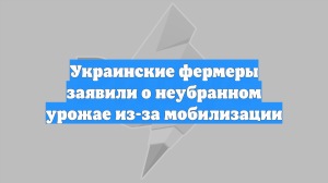 Украинские фермеры заявили о неубранном урожае из-за мобилизации