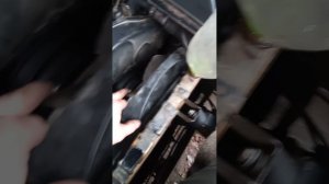 Продолжение Геморойного Банкета.