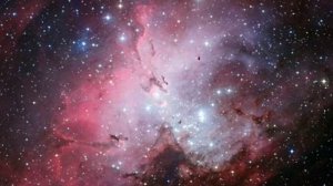 Bach I.S. - Toccata 565