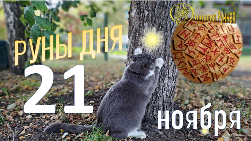 РУНА ДНЯ\прогноз на сегодня, 23 ноября 2025г от Наталии Рунной