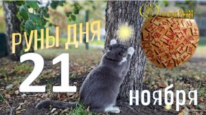 РУНА ДНЯ\прогноз на сегодня, 23 ноября 2025г от Наталии Рунной