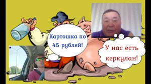 Казах и австралиец 16.11.25