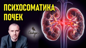 Как почки связаны с неумением говорить правду. А у вас часто они болеют? Феноменальная психосоматика