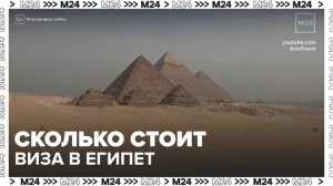 Стоимость виз в Египет вырастет почти в 2 раза - Москва 24