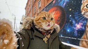 ЧТО СЛУЧИЛОСЬ С КОШАТНИКОМ??? Влог рыжего кота возвращается?