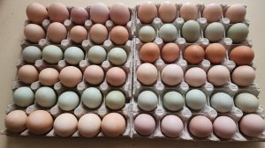 А дни стали холоднее