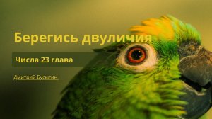 Берегись двуличия | Числа 23 глава | Дмитрий Бусыгин