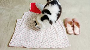 Обновочки для себя/Хорошо нагулялась