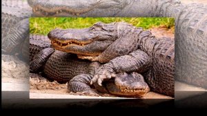 Moments Of Life 244 (Piano Chill Mix)