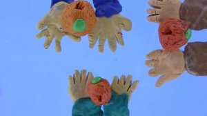 Мандариновое чудо