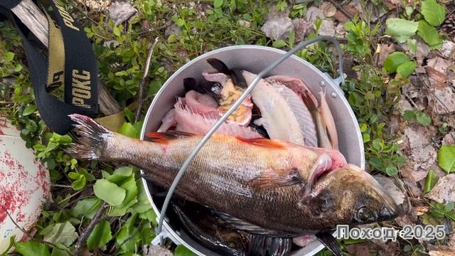 Поход 2025. Часть 2 смотреть онлайн