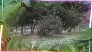 Друзья мои, вы только не теряйтесь.