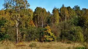 29 сентября. Вечерняя прогулка