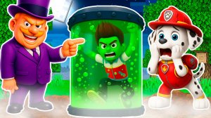 МЭР ХАМДИНГЕР ЗАРАЗИЛ РАЙДЕРА ЩЕНЯЧИЙ ПАТРУЛЬ ЗОМБИ ВИРУСОМ АПОКАЛИПСИС В МАЙНКРАФТ МУЛЬТИК